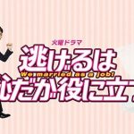 『逃げるは恥だが役に立つ』事実婚のメリットは？法律婚との違い