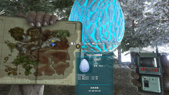 Ark アイスワイバーンの巣の場所 卵の座標 ラグナロク ツキちゃんの小部屋